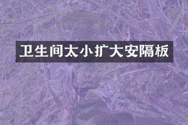 卫生间太小扩大安隔板