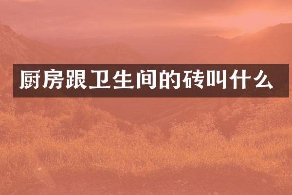 厨房跟卫生间的砖叫什么