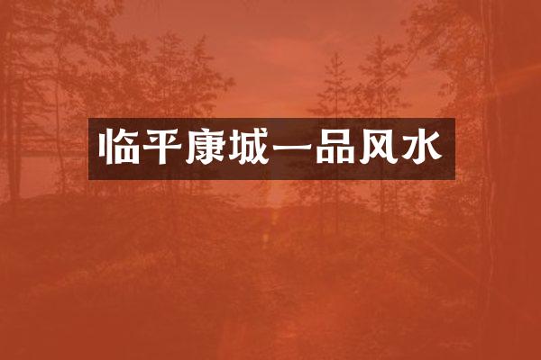 临平康城一品风水