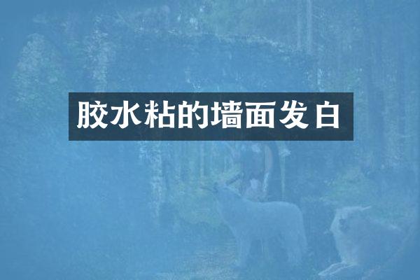 胶水粘的墙面发白