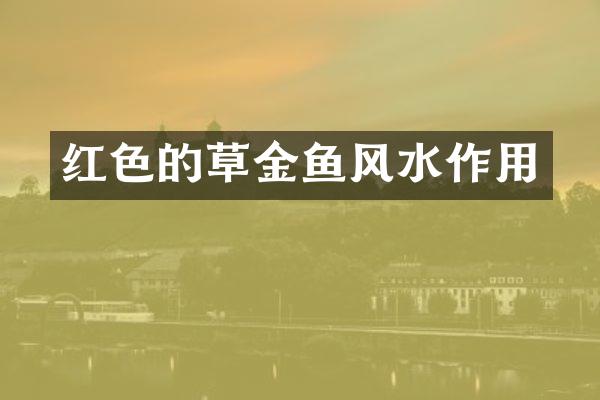 红色的草金鱼风水作用