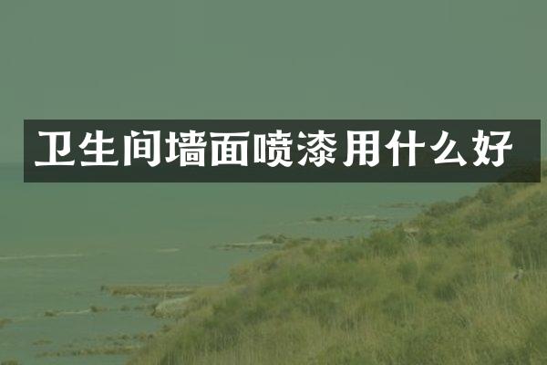 卫生间墙面喷漆用什么好