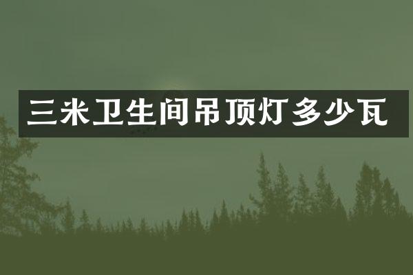 三米卫生间吊顶灯多少瓦