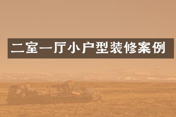 二室一厅小户型装修案例