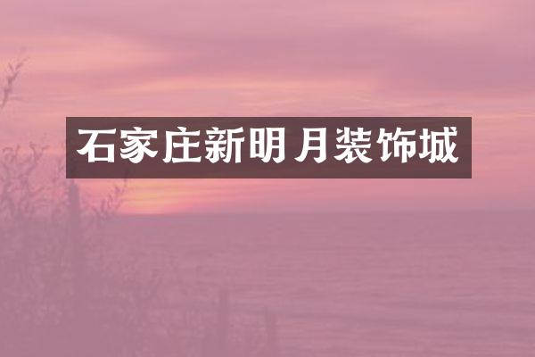 石家庄新明月装饰城