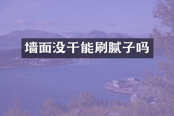 墙面没干能刷腻子吗