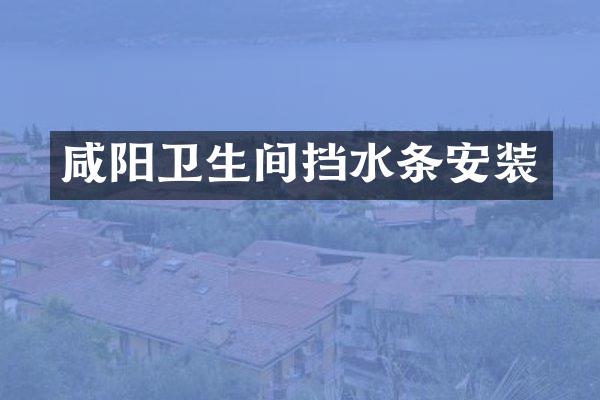 咸阳卫生间挡水条安装