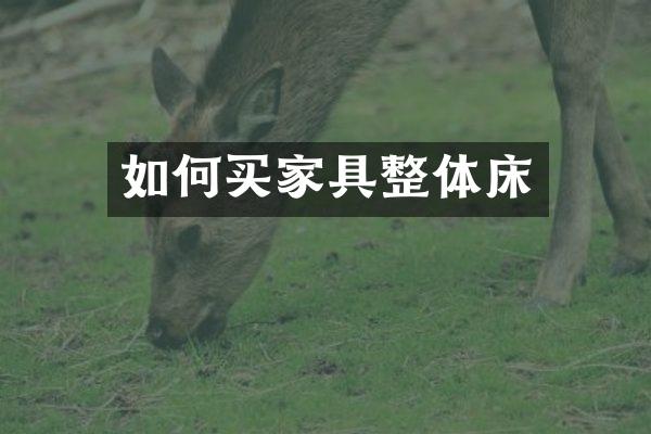 如何买家具整体床