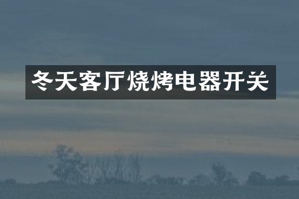 冬天客厅烧烤电器开关
