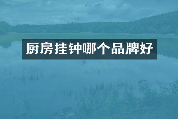 厨房挂钟哪个品牌好