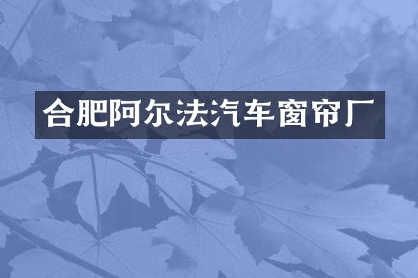 合肥阿尔法汽车窗帘厂