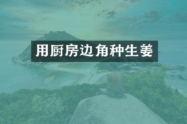 用厨房边角种生姜