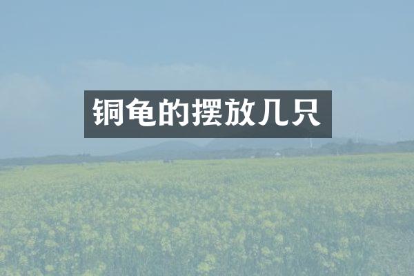 铜龟的摆放几只
