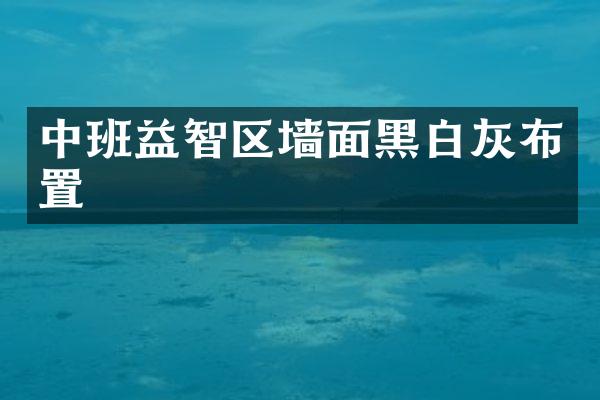 中班益智区墙面黑白灰布置