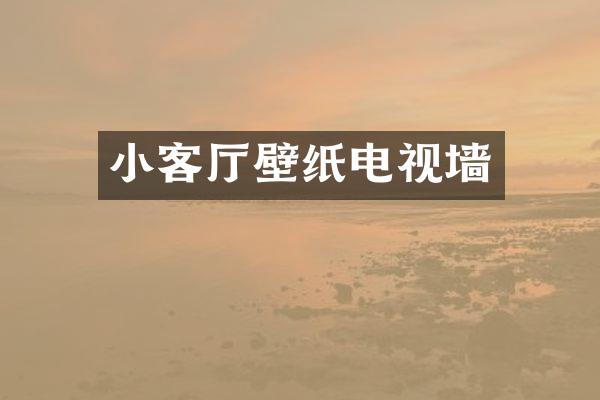 小客厅壁纸电视墙