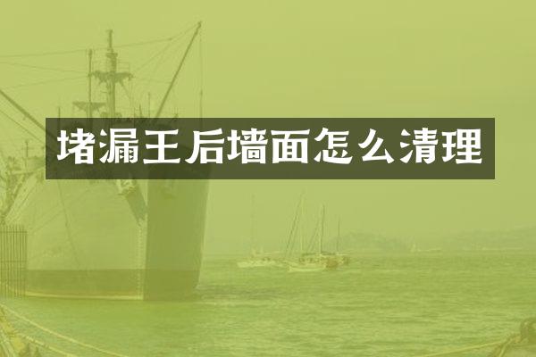 堵漏王后墙面怎么清理
