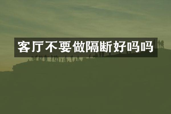 客厅不要做隔断好吗吗
