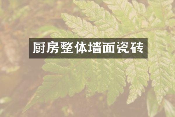 厨房整体墙面瓷砖