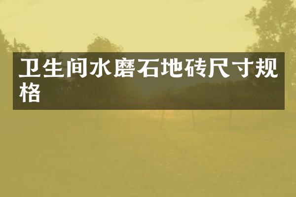 卫生间水磨石地砖尺寸规格