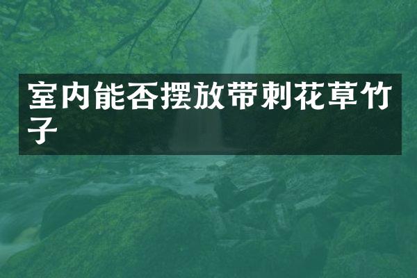 室内能否摆放带刺花草竹子