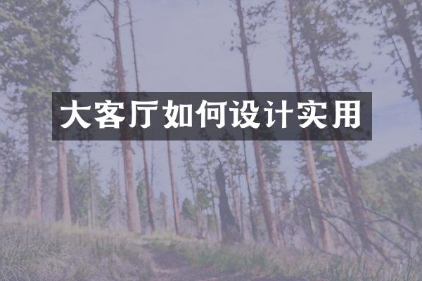 大客厅如何设计实用