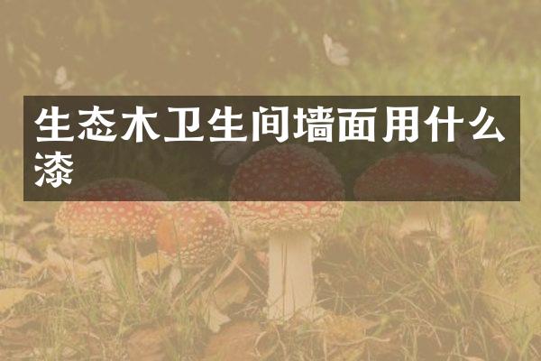 生态木卫生间墙面用什么漆