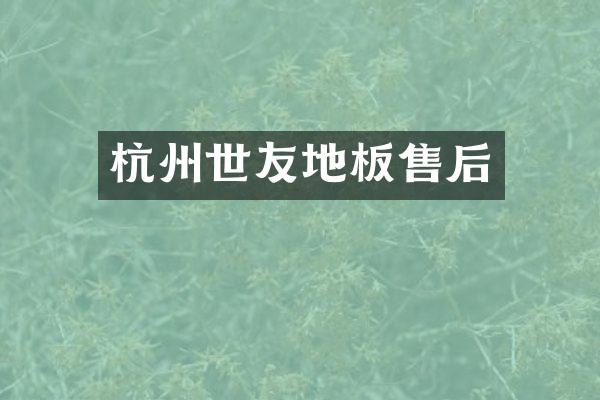 杭州世友地板售后