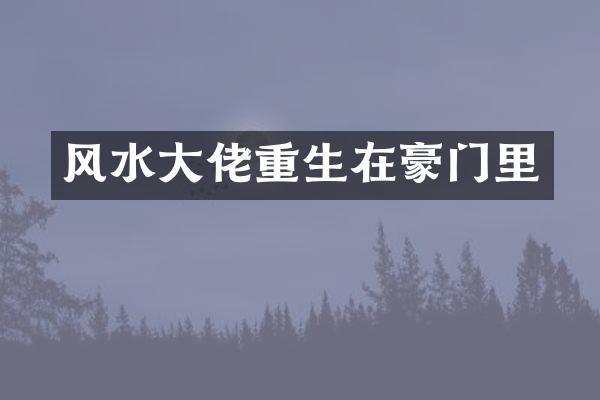 风水大佬重生在豪门里