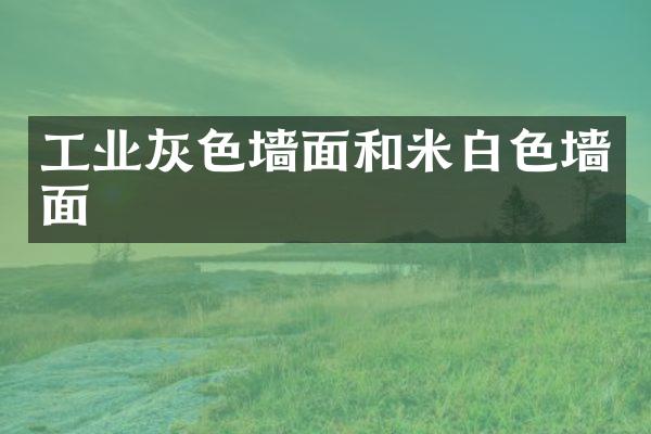 工业灰色墙面和米白色墙面