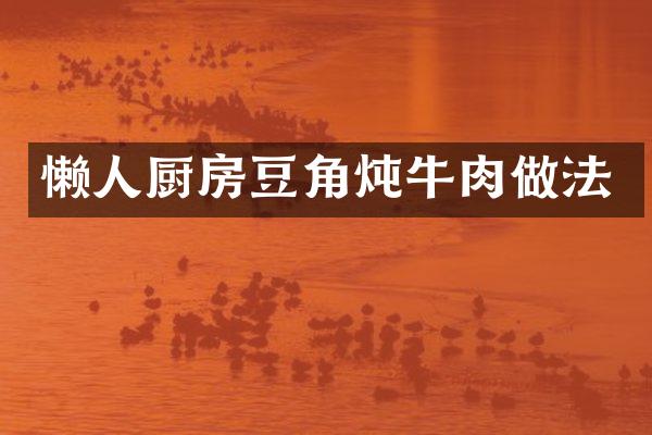 懒人厨房豆角炖牛肉做法