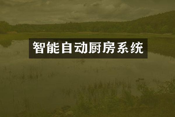 智能自动厨房系统