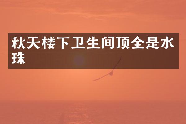 秋天楼下卫生间顶全是水珠