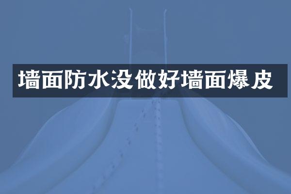 墙面防水没做好墙面爆皮