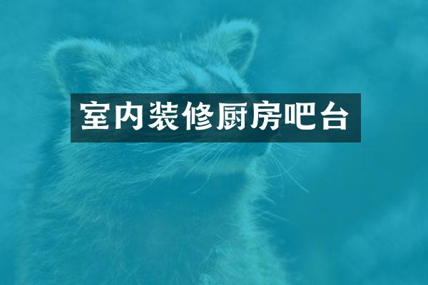 室内装修厨房吧台
