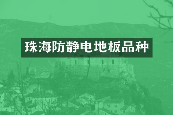 珠海防静电地板品种