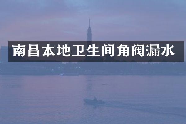 南昌本地卫生间角阀漏水