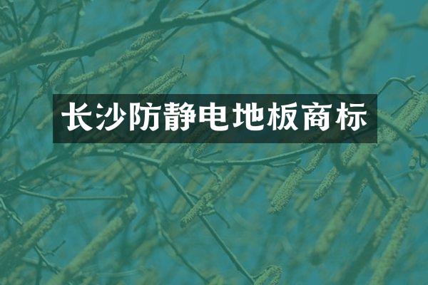 长沙防静电地板商标