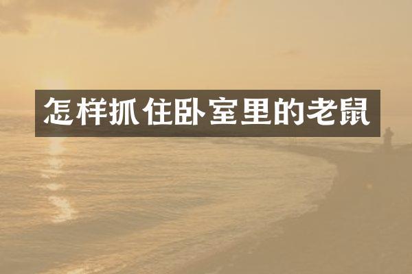 怎样抓住卧室里的老鼠