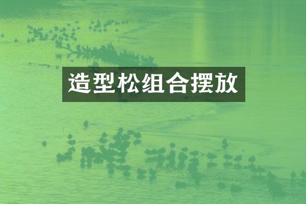 造型松组合摆放