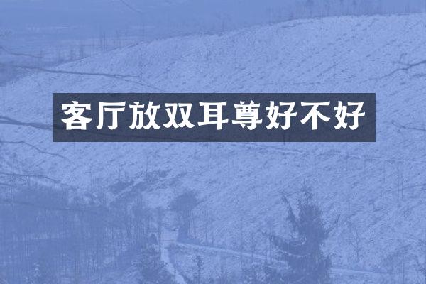 客厅放双耳尊好不好