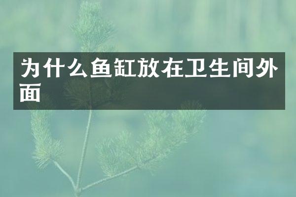 为什么鱼缸放在卫生间外面
