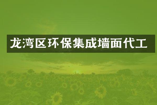 龙湾区环保集成墙面代工