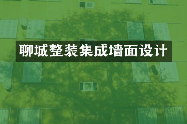 聊城整装集成墙面设计