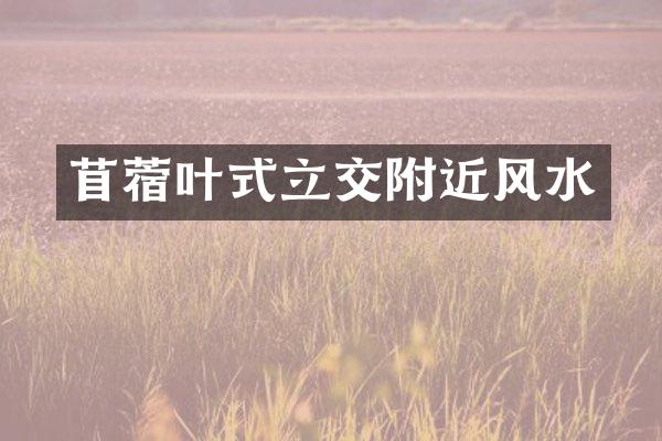 苜蓿叶式立交附近风水