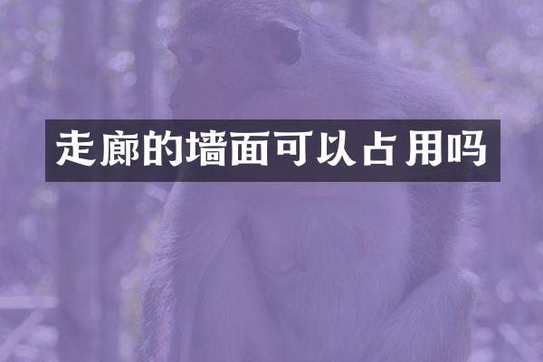 走廊的墙面可以占用吗