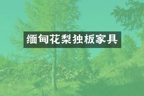 缅甸花梨独板家具