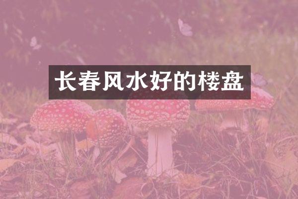 长春风水好的楼盘