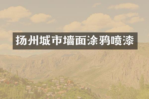 扬州城市墙面涂鸦喷漆