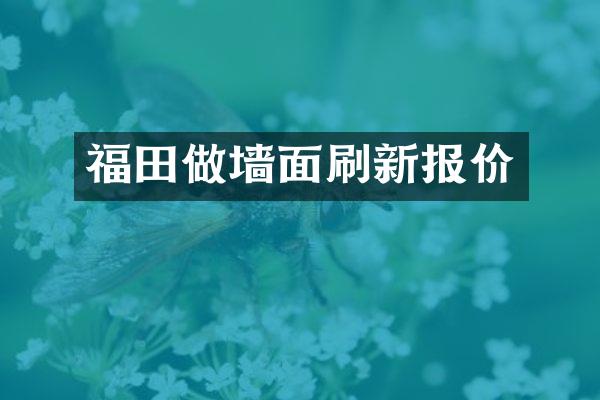 福田做墙面刷新报价