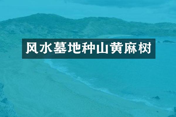 风水墓地种山黄麻树